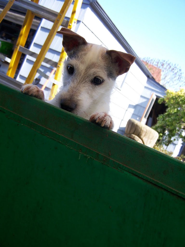 [4443525301_f2cb750821_b.jpg]