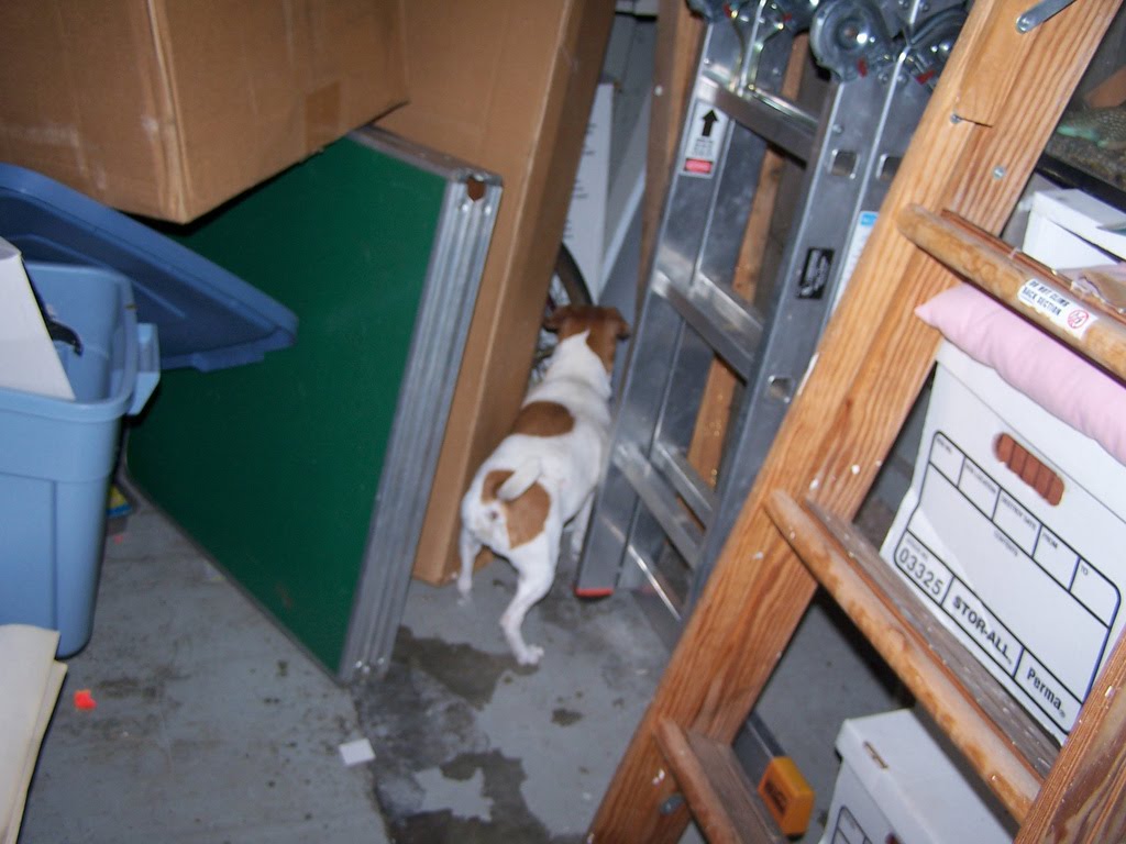 [4443562143_515d94e948_b.jpg]