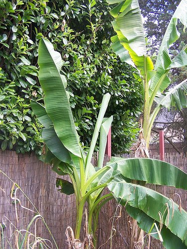 [2697151573_585eec4daa.jpg]