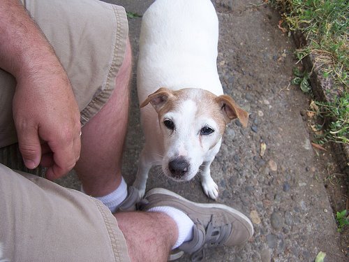 [2697965942_807641477e.jpg]