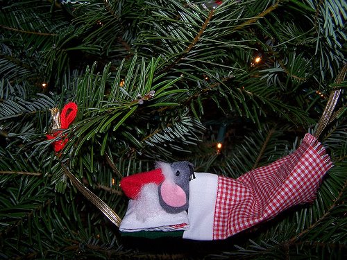 [3094517428_cb8d26320e.jpg]