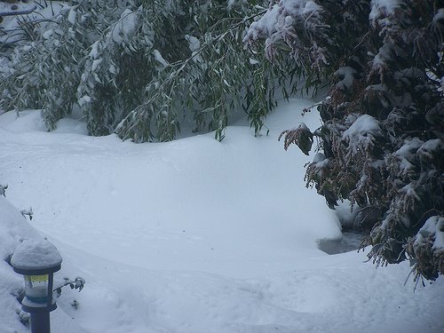 [3128862298_1dcbd46722.jpg]