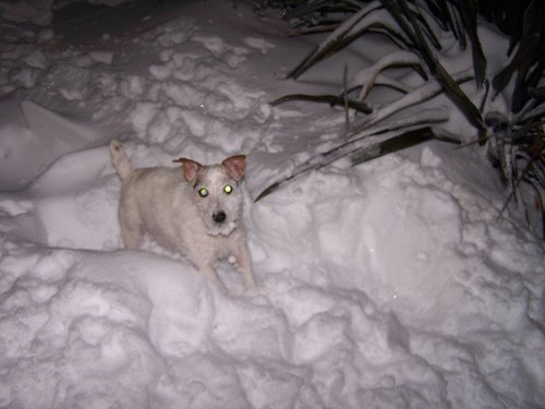 [3128861716_3c00122f66.jpg]