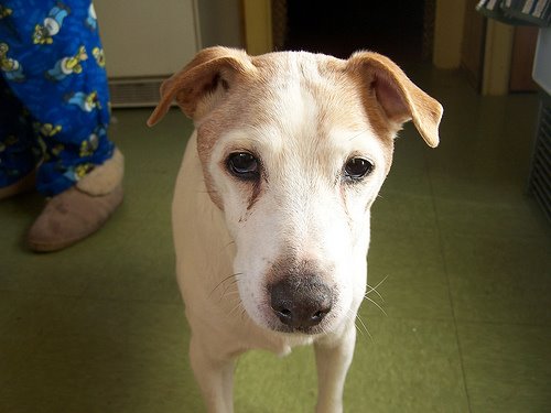 [3112713176_c9639e17cc.jpg]