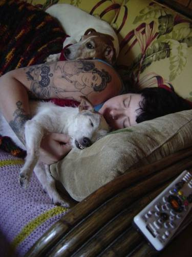 [2861151801_50c8fae7b4.jpg]