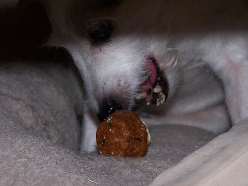 [3175061623_42eef3efb8.jpg]