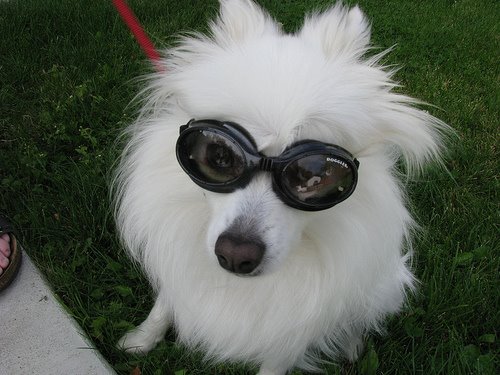 [2888899812_b2656fa86e.jpg]