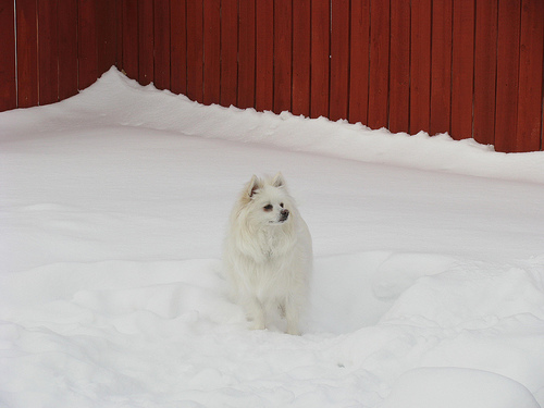 [3203487733_d5eba0d8fa.jpg]