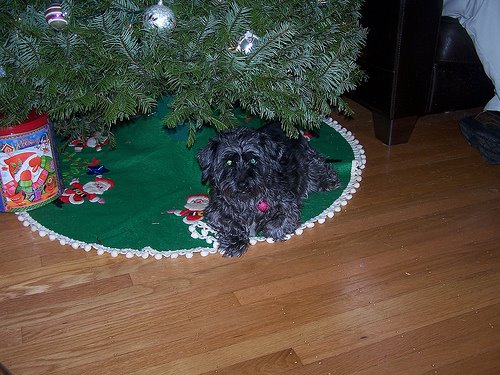 [3175057315_9a09b473f2.jpg]