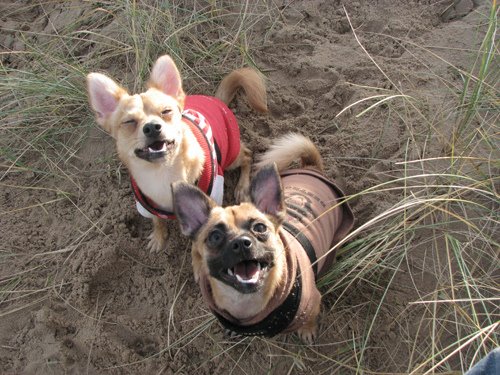 [3040081105_b27f14bcbb.jpg]