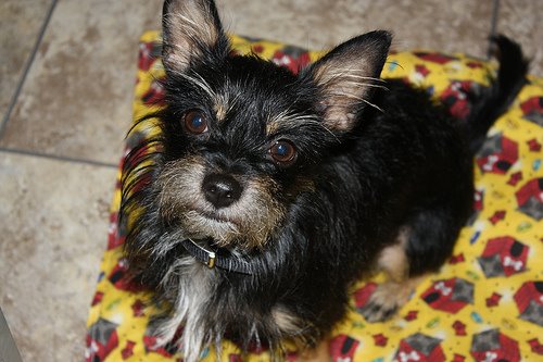 [3756866268_25bd9903db.jpg]