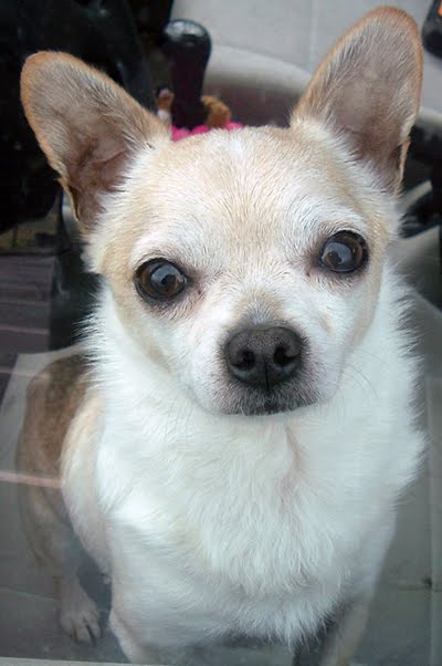 [89902066_26d3e94e62_o.jpg]