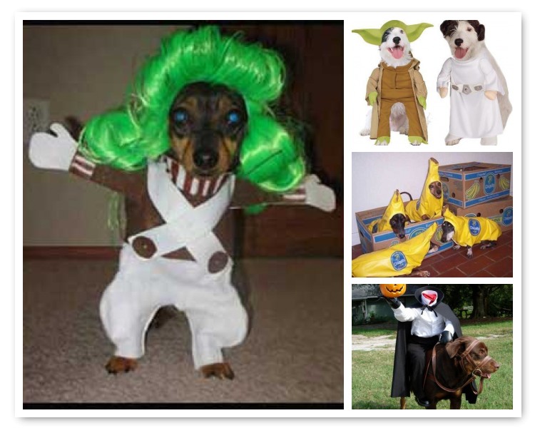 [mosaic68036c89799ed813f619bfd87a22a2e0570d65a0.jpg]