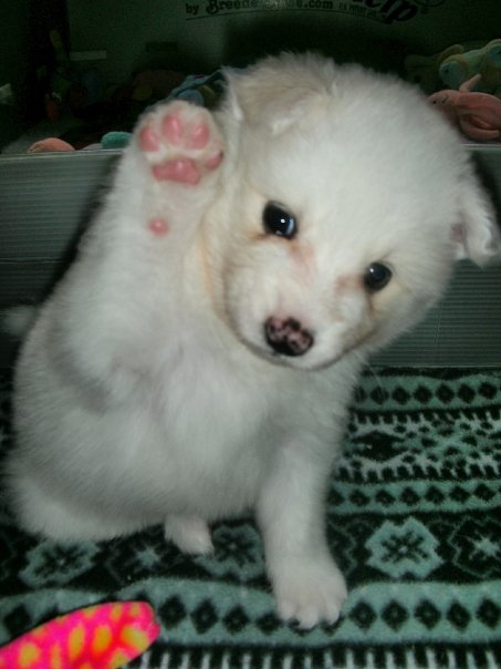 [8120_127893158061_664548061_2657058_3064523_n.jpg]