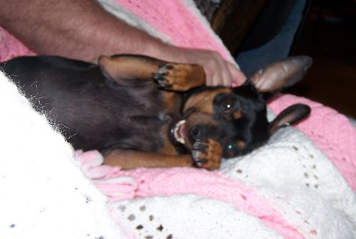 [4007280866_c803c85a2a.jpg]