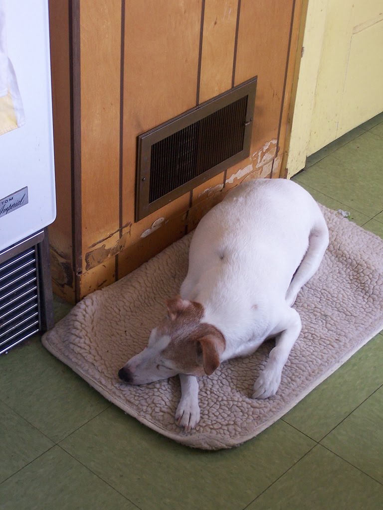 [3126191918_139907e1e9_b.jpg]