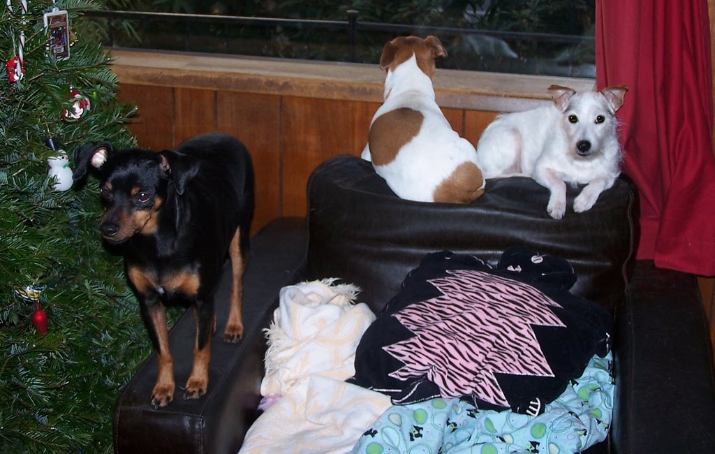 [4219314126_e6819bf4d1_b.jpg]