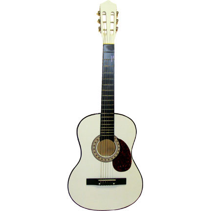 White Taylor Guitar