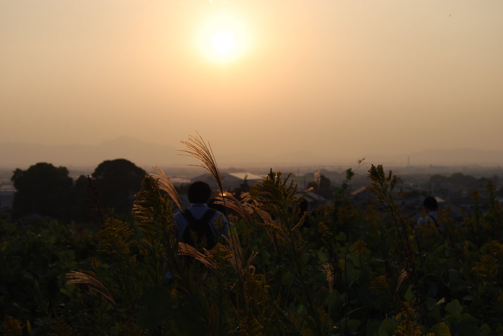 [DSC_0136.JPG]