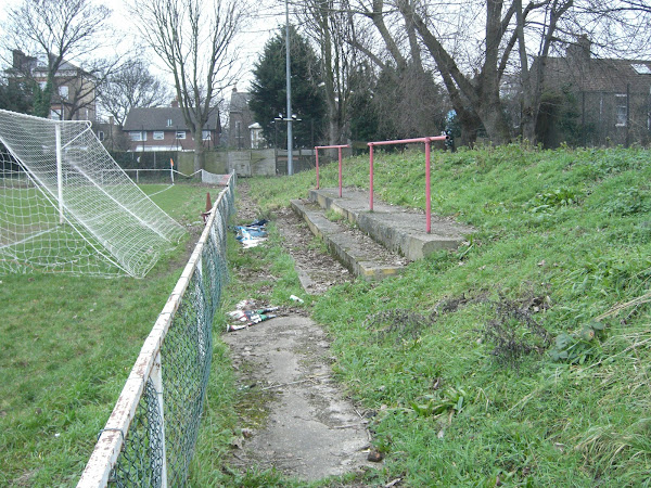 Terrace Old Spotted Dog