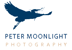 Peter Moonlight Imaging