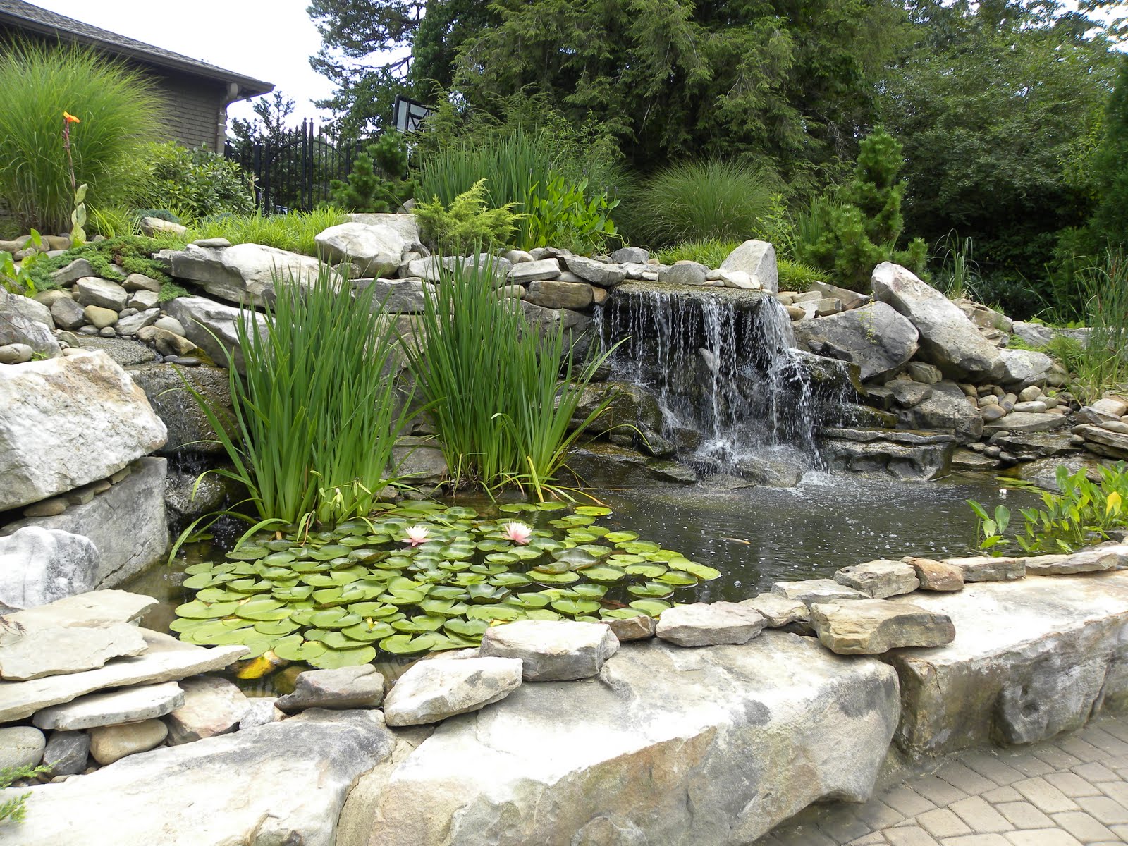 mini-koi-pond-garden