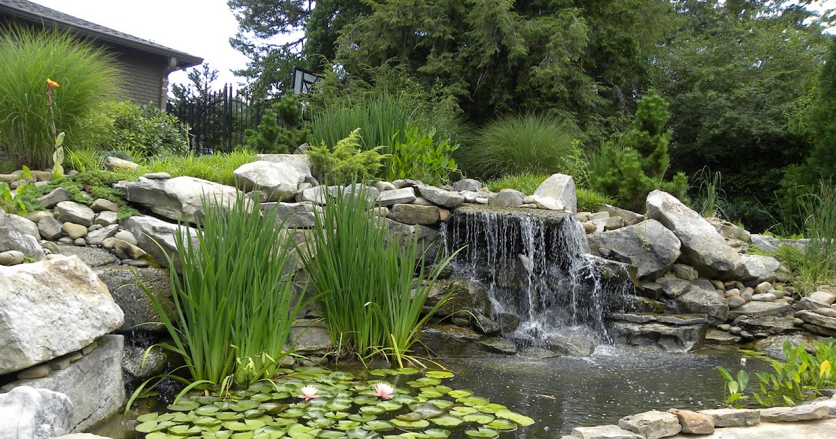 Regina's Garden: Koi Pond Tour (Pond 15)