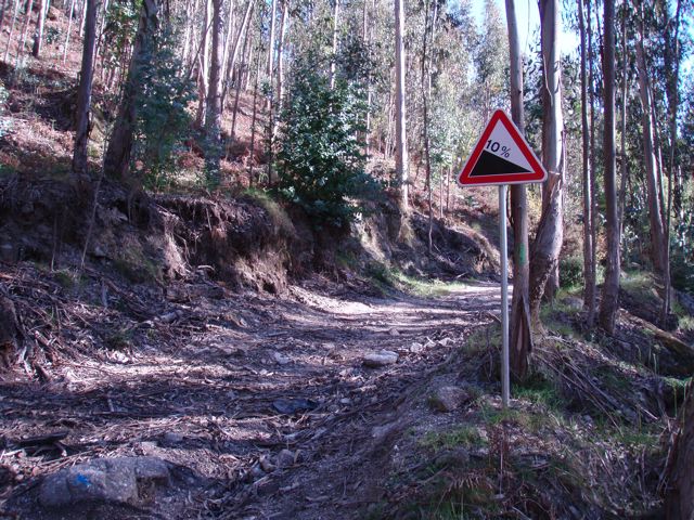 [P4050011.jpg]