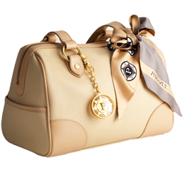 [parazul+beige+bag.png]