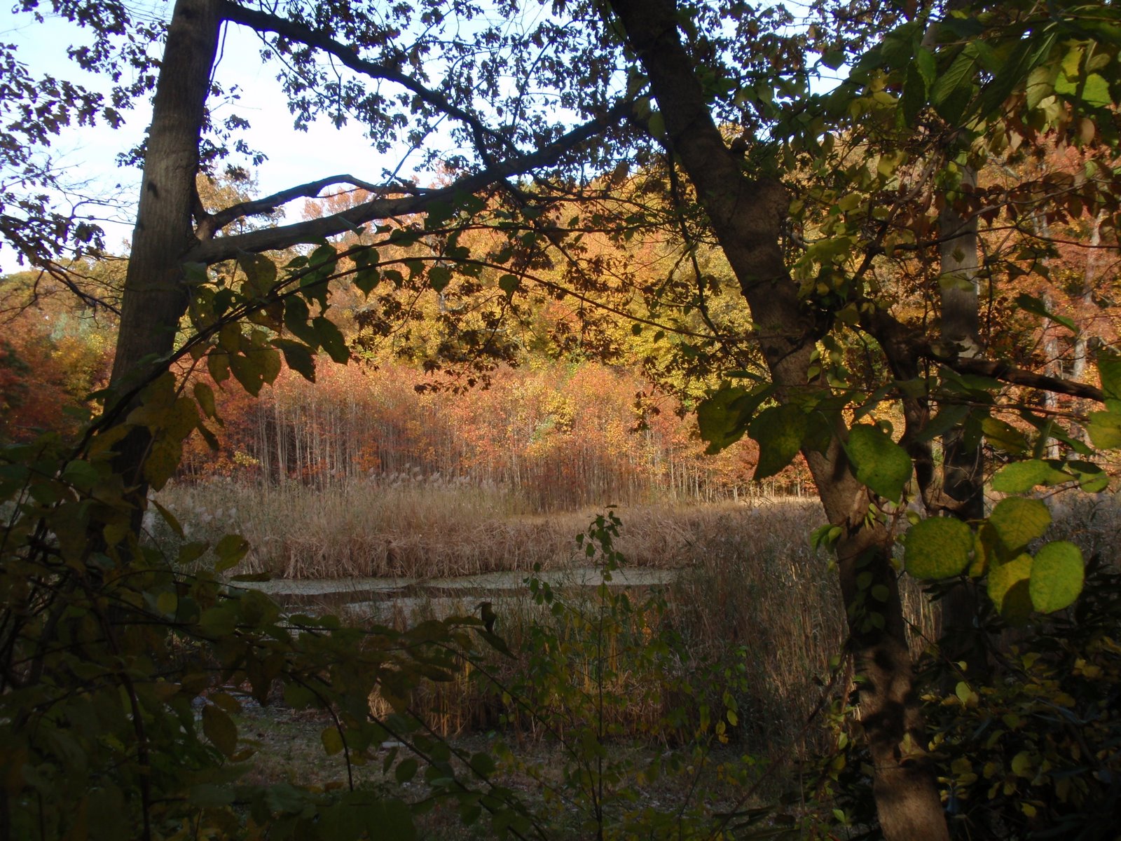 [PB020029.JPG]