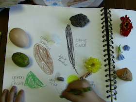 Settled In My Home: Preschool Nature Activity