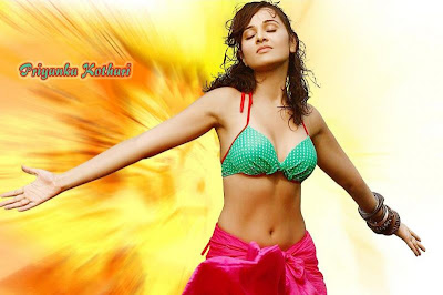 Nisha Kothari Super Hottest Photo Gallery