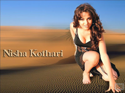 Nisha Kothari Super Hottest Photo Gallery