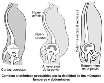 CENTRO COLUMNA VERTEBRAL S C centro columna vertebral s c: