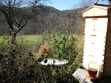 Honey feeder, Barn Garden