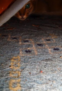 Go away! I'm hiding