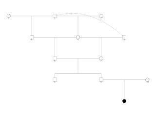 Drawing pedigree examples using the kinship R package