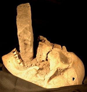 Vampire discovered in mass grave