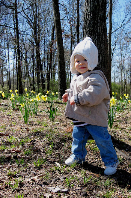 Ethan in the daffodils 14 1/2 months old