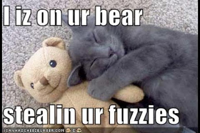 lolcatz.jpg