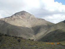 Cerro Pelado 3.452 mts