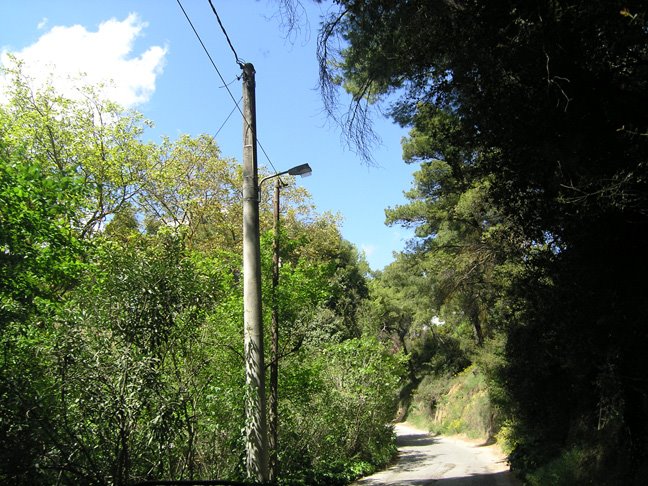 [P5010021.JPG]