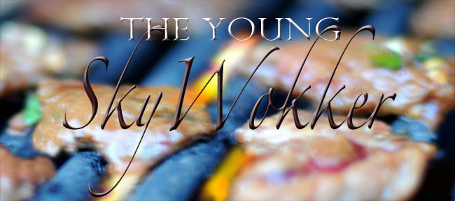 The Young SkyWokker