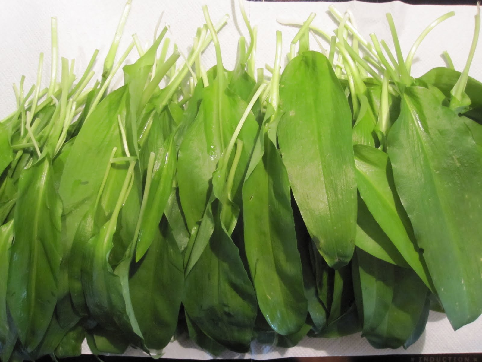 irenina kuhinja Čemaž v olivnem olju )