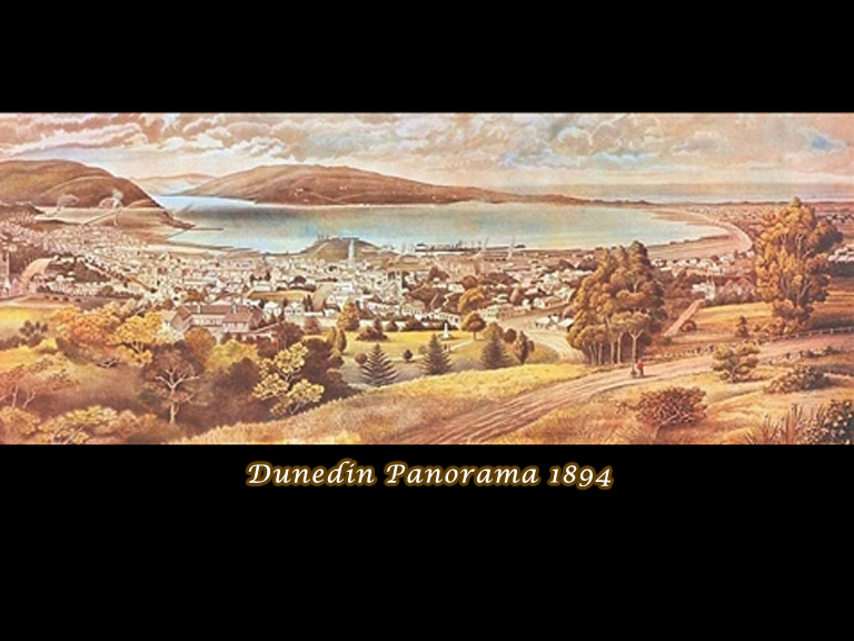 [A16_Dunedin_Panorama_1894_Hawcridge_Robert+.jpg]