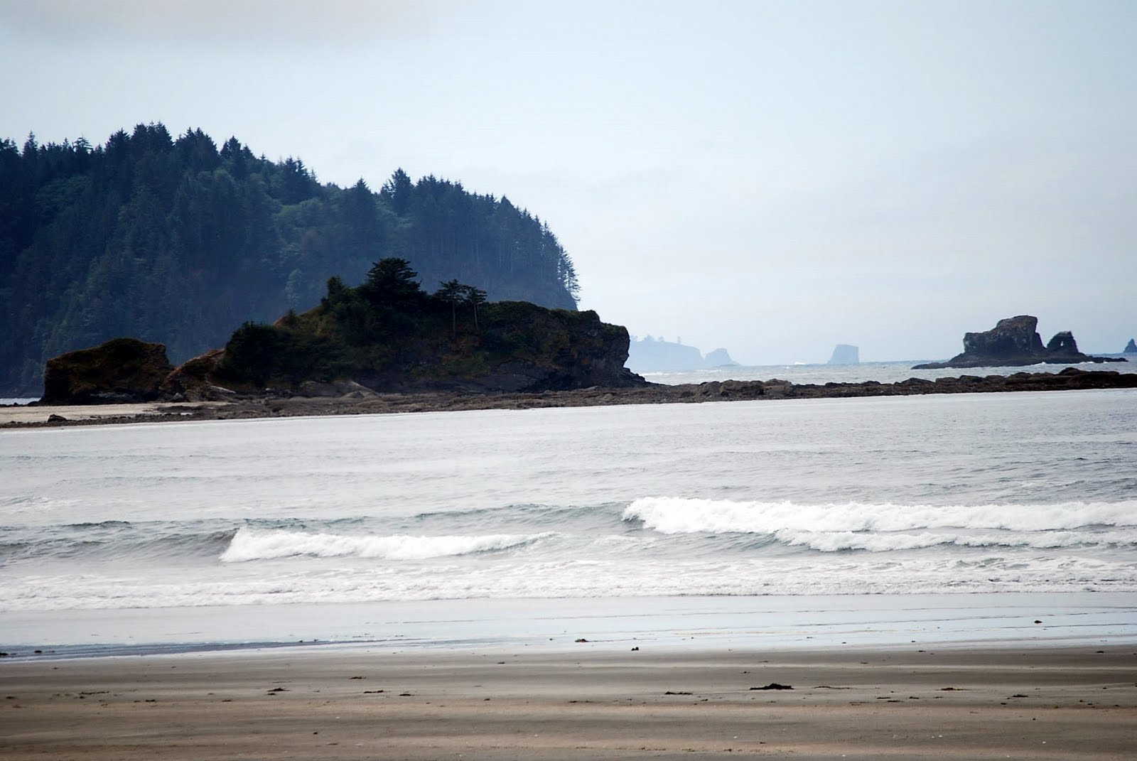 Jean and Steve's 2010 Pacific Northwest Adventure Neah Bay, Washington