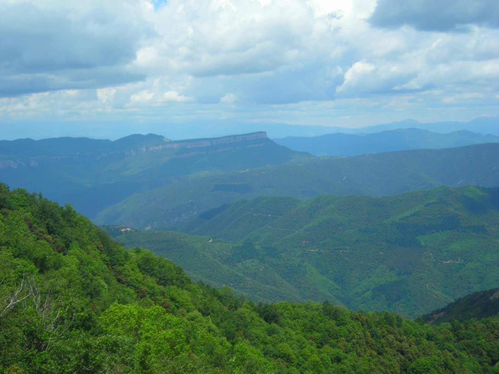 Pas a Pas: Sant Miquel de les Formigues,1202 m (Font dels Abeuradors)