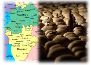 [rwanda.jpg]
