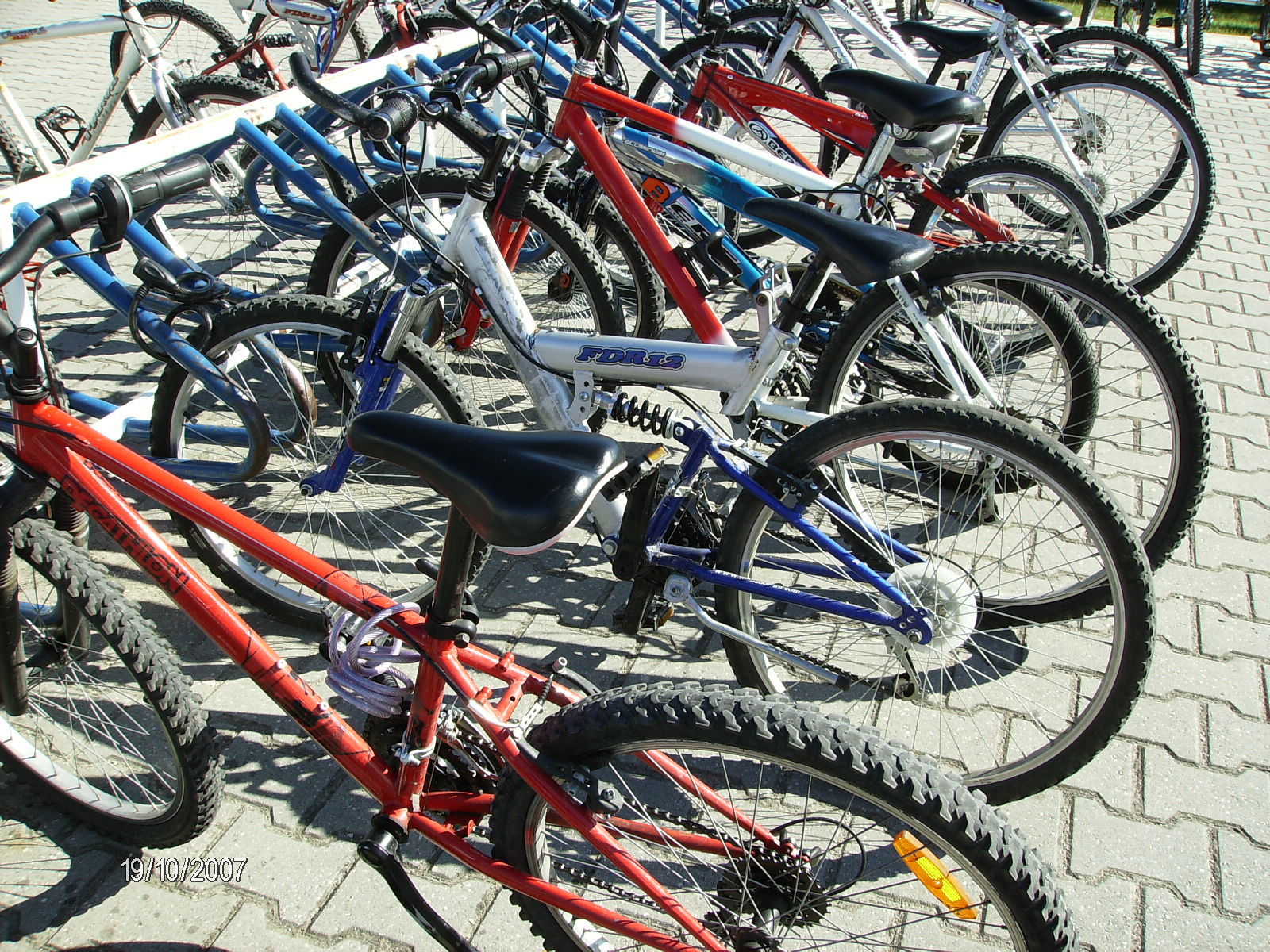 [biclas.JPG]