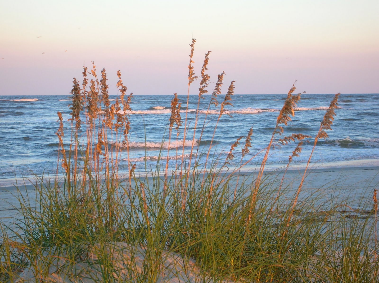 [summer+2006+540.jpg]